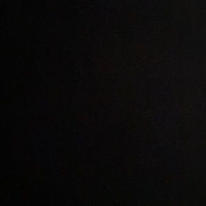 Meet your Posher, Reana